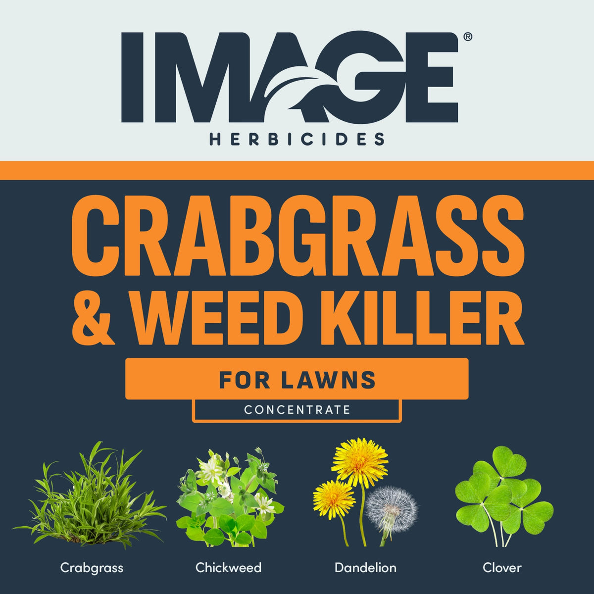 Image Herbicides applying on lawn to target crabgrass and broadleaf weeds.