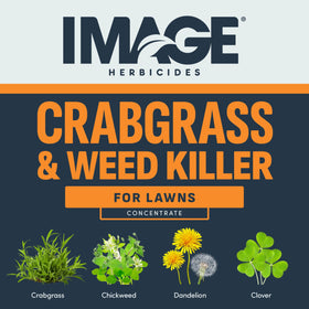 Image Herbicides applying on lawn to target crabgrass and broadleaf weeds.