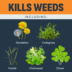 Image Herbicides pour-and-apply action over turf in a sunny yard.