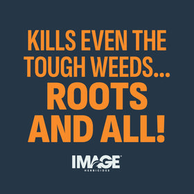 Image Herbicides compatible with tall fescue and bermudagrass lawns.