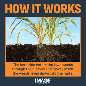 Image Herbicides water-based formula safe when used as directed.