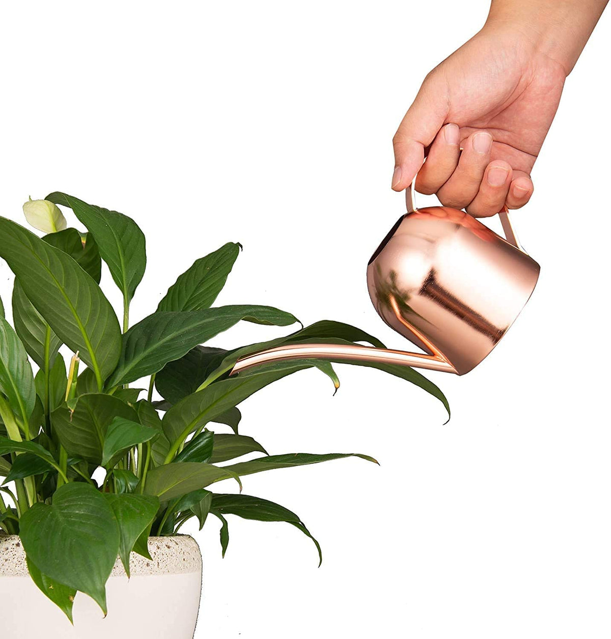 IMEEA mini watering can ideal for bonsai care in small spaces.