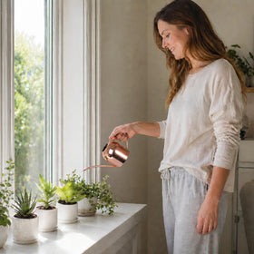 IMEEA mini watering can on a desk, compact design for easy office use.