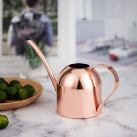IMEEA mini watering can suitable for kitchen herbs on a windowsill.