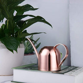 IMEEA mini watering can enables precise pouring to avoid overwatering and mess.