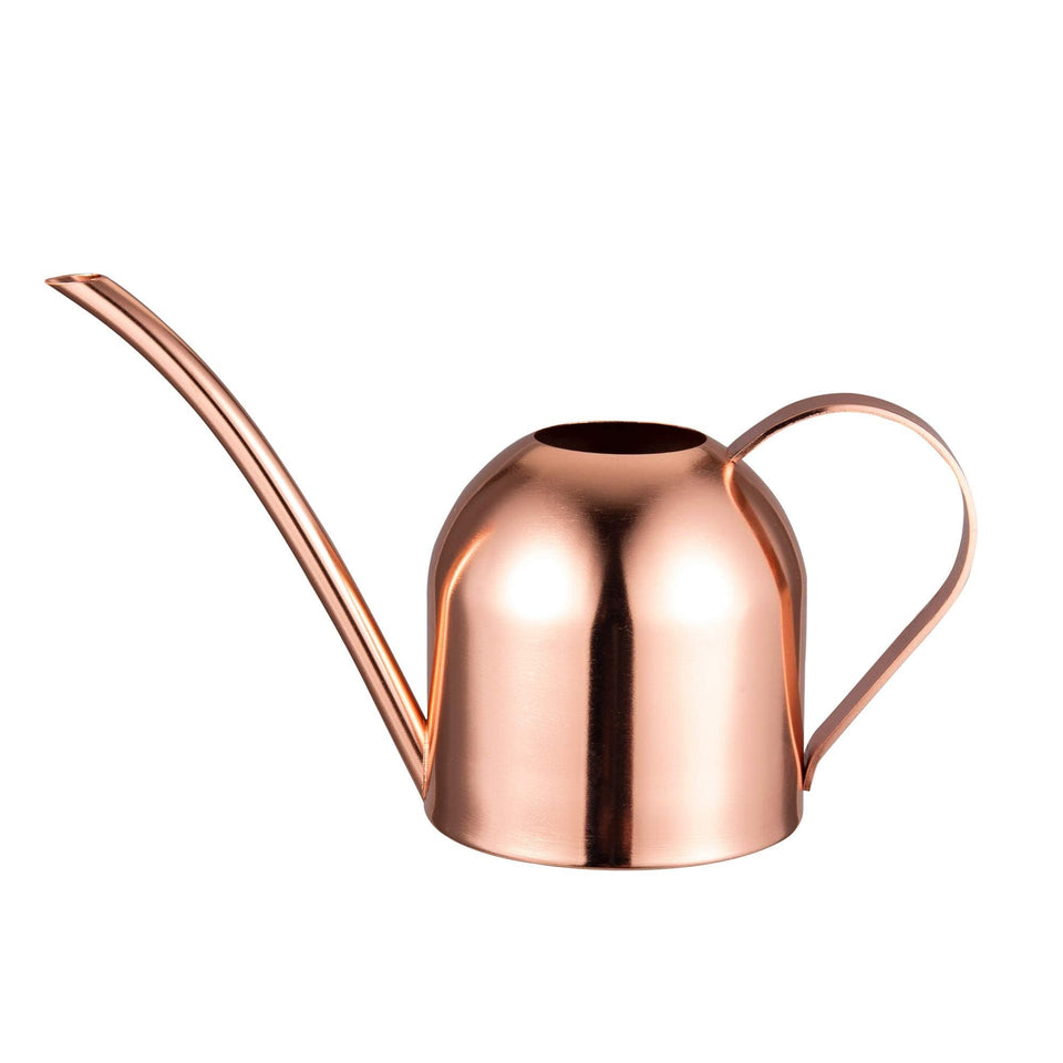 IMEEA mini watering can stainless steel long spout for precise root watering of delicate plants.