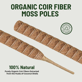 imezos Monstera moss pole climbing support boosts vertical growth
