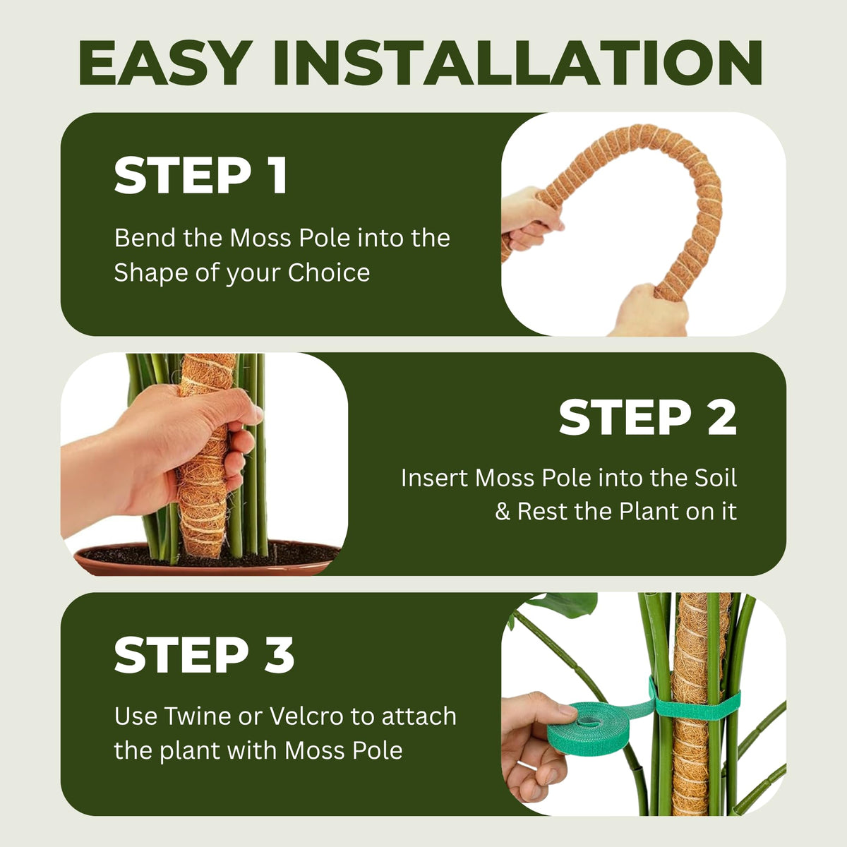 imezos moss pole supports faster healthy leaves with better light access