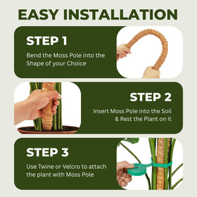 imezos moss pole supports faster healthy leaves with better light access