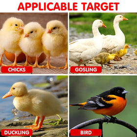 IMIKEYA baby chick feeder and waterer in compact design.