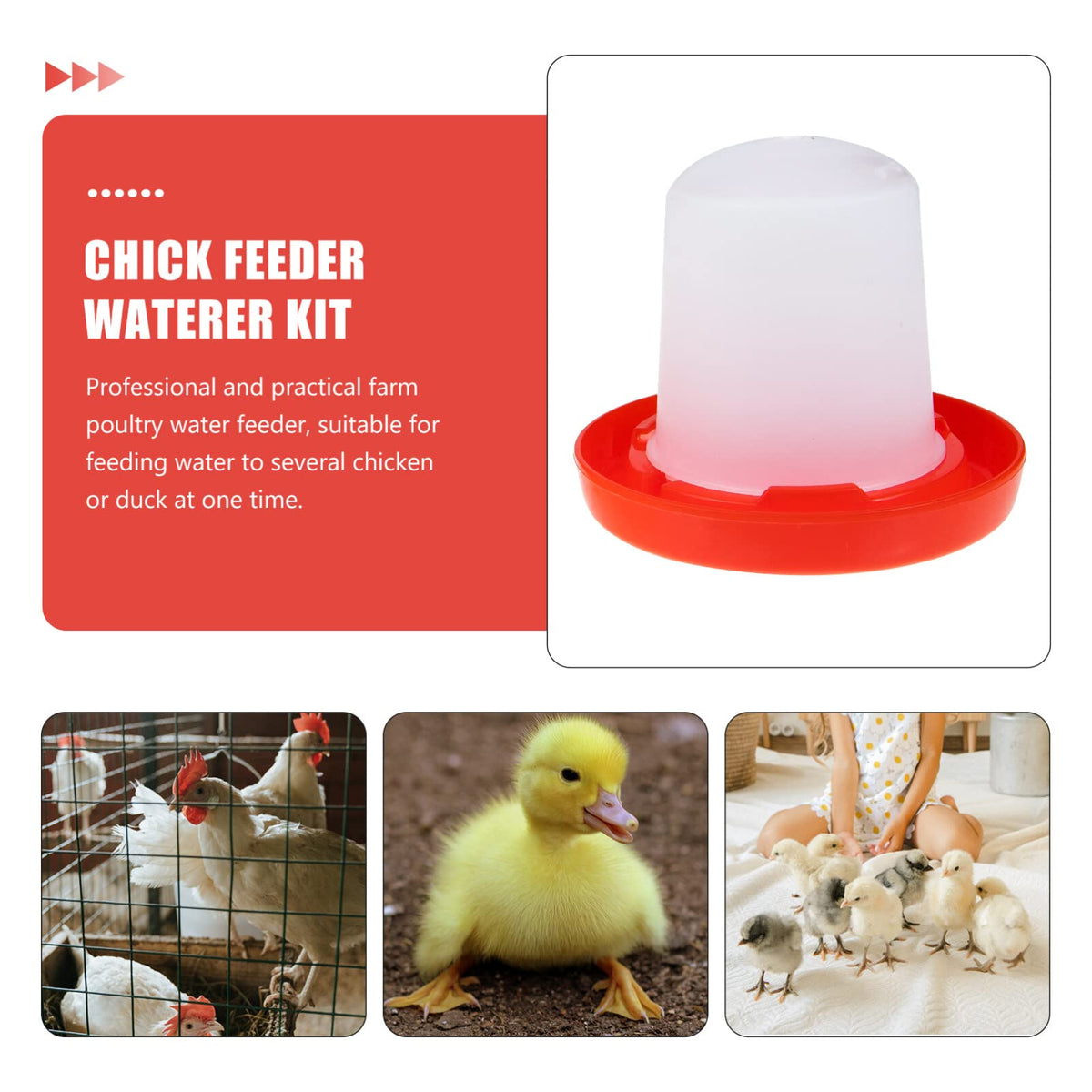 IMIKEYA duck feeder waterer in action for versatile poultry care.
