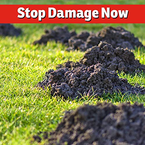 IMUSTGARDEN Armadillo Repellent coverage area illustrates initial and maintenance protection