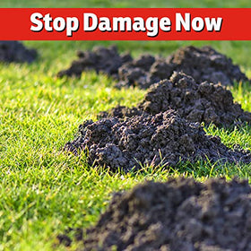 IMUSTGARDEN Armadillo Repellent coverage area illustrates initial and maintenance protection