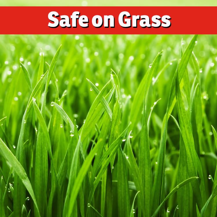 IMUSTGARDEN Armadillo Repellent is grass-safe across growth stages with safe use