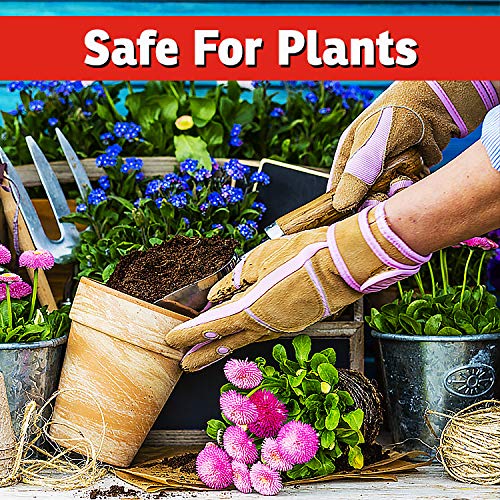 IMUSTGARDEN long-lasting formula sticks to leaves even after rain.