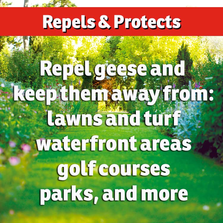 IMUSTGARDEN goose repellent lawn protection application shows safe all natural ingredients