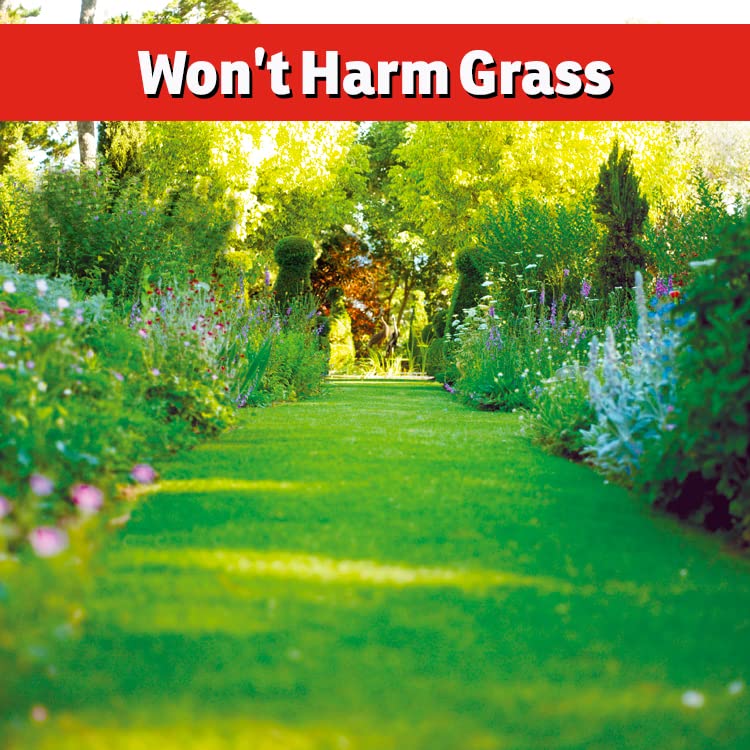IMUSTGARDEN goose repellent outdoor areas keeps patios and lawns enjoyable