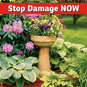 IMUSTGARDEN ideal for flower pots and containers to safeguard seedlings.