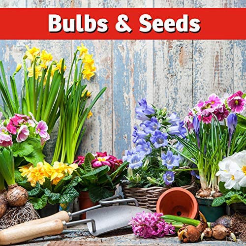 IMUSTGARDEN long lasting protection that stays in soil and around plants.