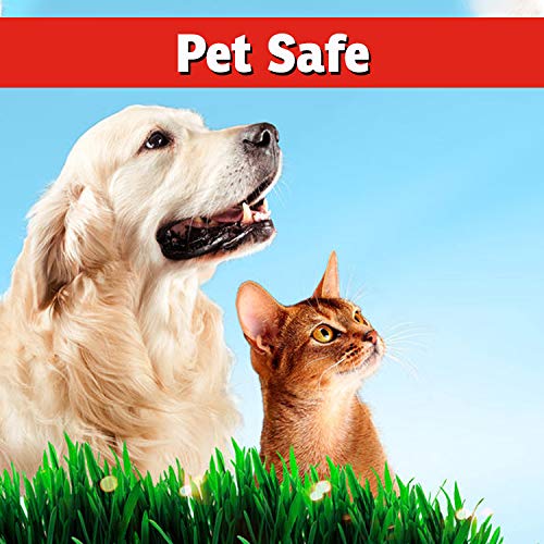 IMUSTGARDEN natural ingredients provide a fragrance free deterrent for wildlife.