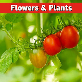 IMUSTGARDEN preferred by professional landscapers to shield new plantings.
