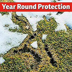 IMUSTGARDEN winter-lawn-protection guards your turf through snow and cold weather.