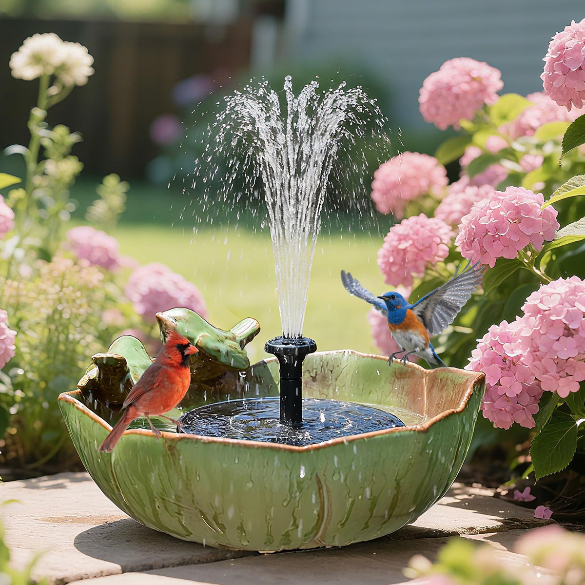 Inanil ceramic bird bath tabletop in sunlit patio attracts birds for daily viewing