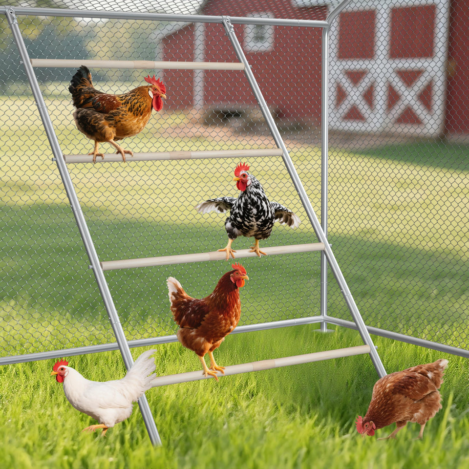 Inanil chicken perch roost bars in coop maximize space and comfort for birds.