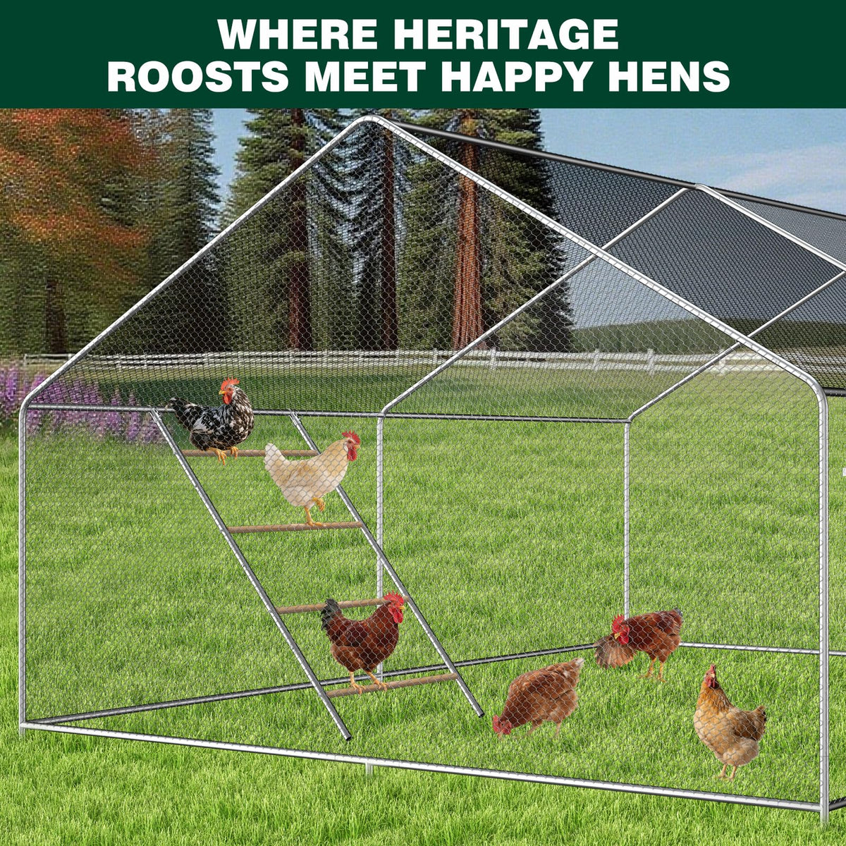 Inanil non-slip base perch stays steady indoors and outdoors.