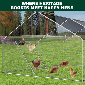 Inanil non-slip base perch stays steady indoors and outdoors.