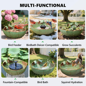 Inanil weather-resistant bird bath on deck or balcony thrives year-round.