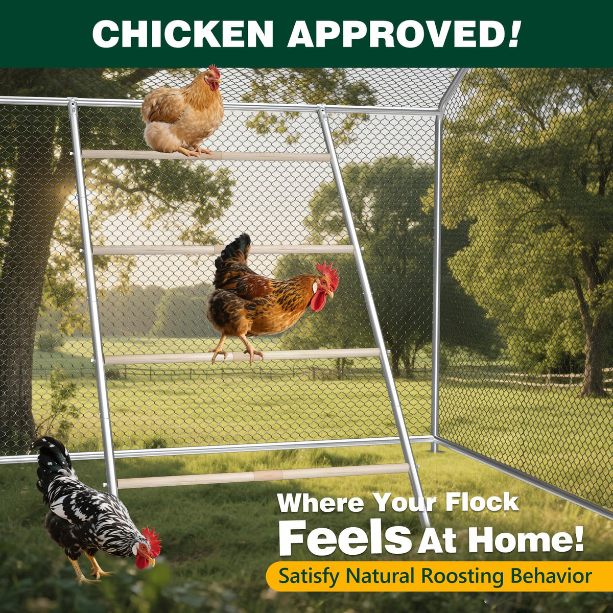 Inanil wood roost perch with smooth finish reduces splinters and foot strain.