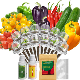 inbloom 12-pod seed kit cucumber for crisp homegrown salads.