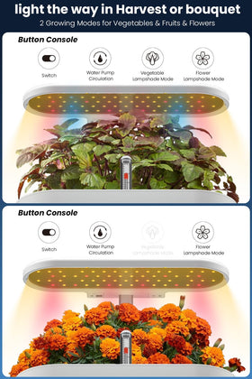 inBloom 42L water pump maintains oxygenated roots for robust growth.