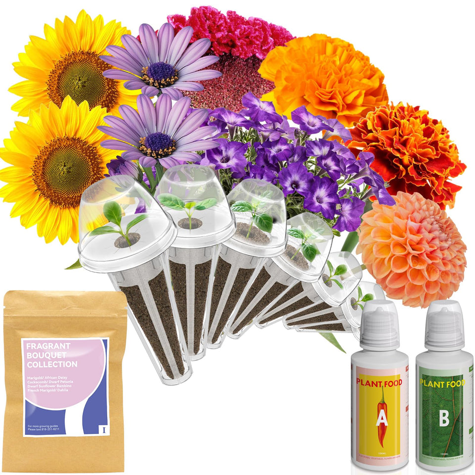 inbloom Fragrant Bouquet seed pod kit for AeroGarden offers easy indoor blooms.