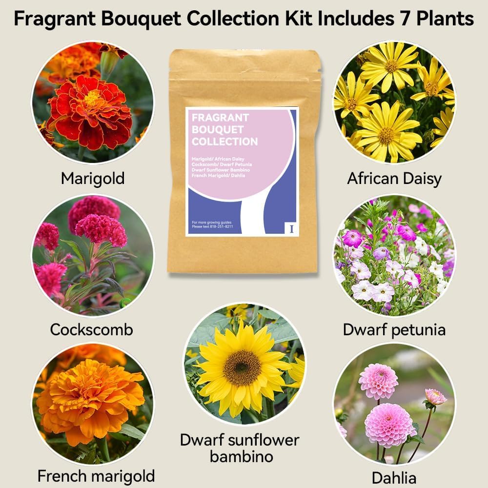 inbloom Fragrant Bouquet seed pod kit for Ahopegarden enables compact indoor blooms.