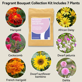 inbloom Fragrant Bouquet seed pod kit for Ahopegarden enables compact indoor blooms.