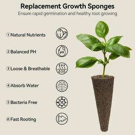 inbloom Fragrant Bouquet kit for LETPOT fosters fast rooting and year-round color.