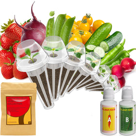inbloom fruit seed pod kit compatible with AeroGarden for easy indoor gardening.