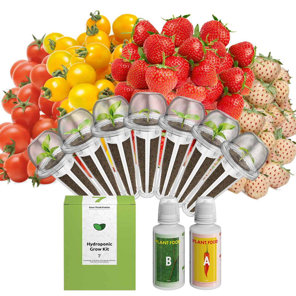inbloom fruit seed pod kit for AeroGarden ready-to-grow indoor harvest