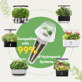 Inbloom grow sponges support reliable germination indoors.