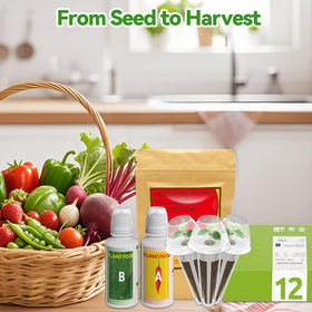 Inbloom Mother's Day gift pack for plant-loving families.
