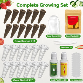 Inbloom strawberry heirloom seeds for fresh fruit at home.