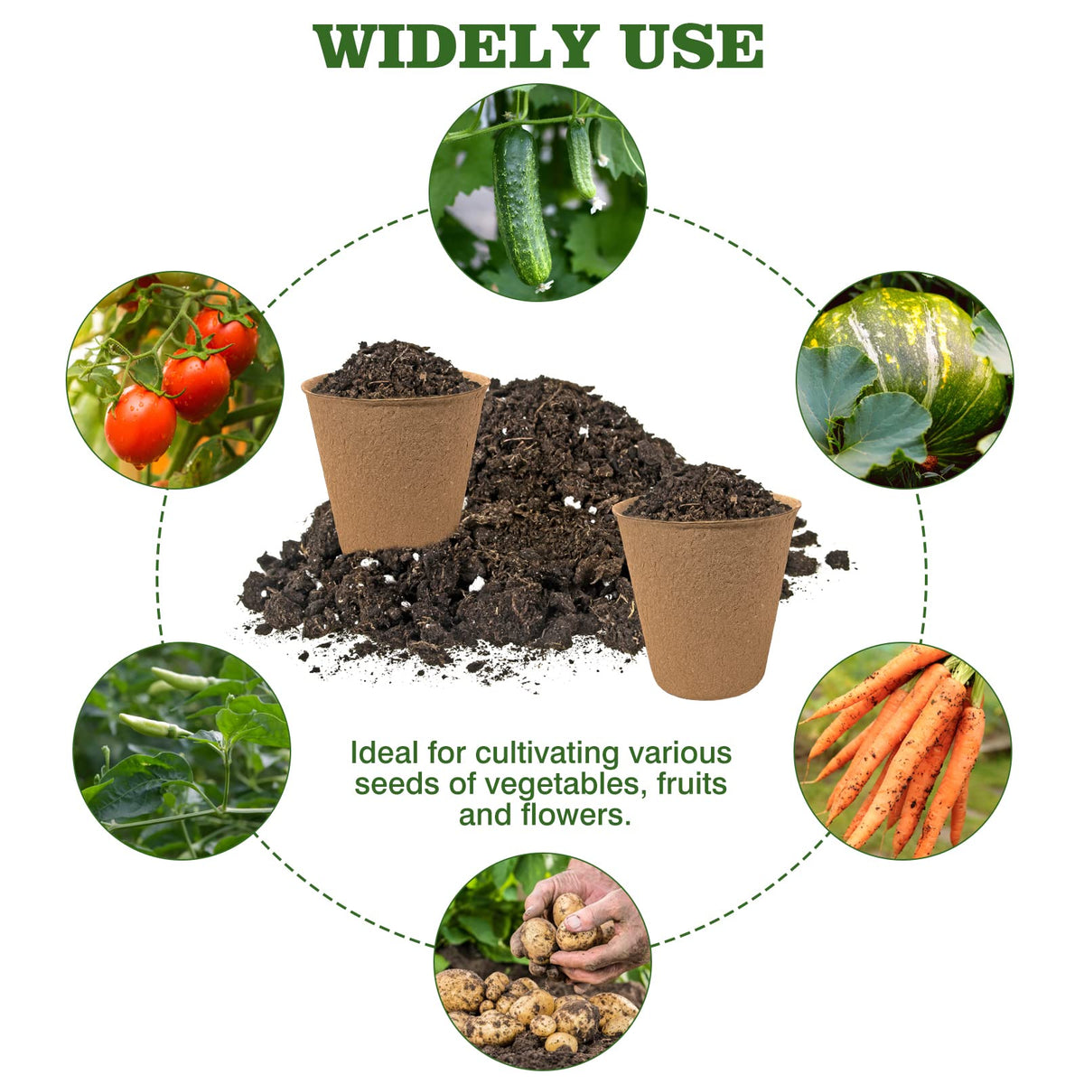 INCIKITI biodegradable peat pots reduce waste and simplify soil transplanting