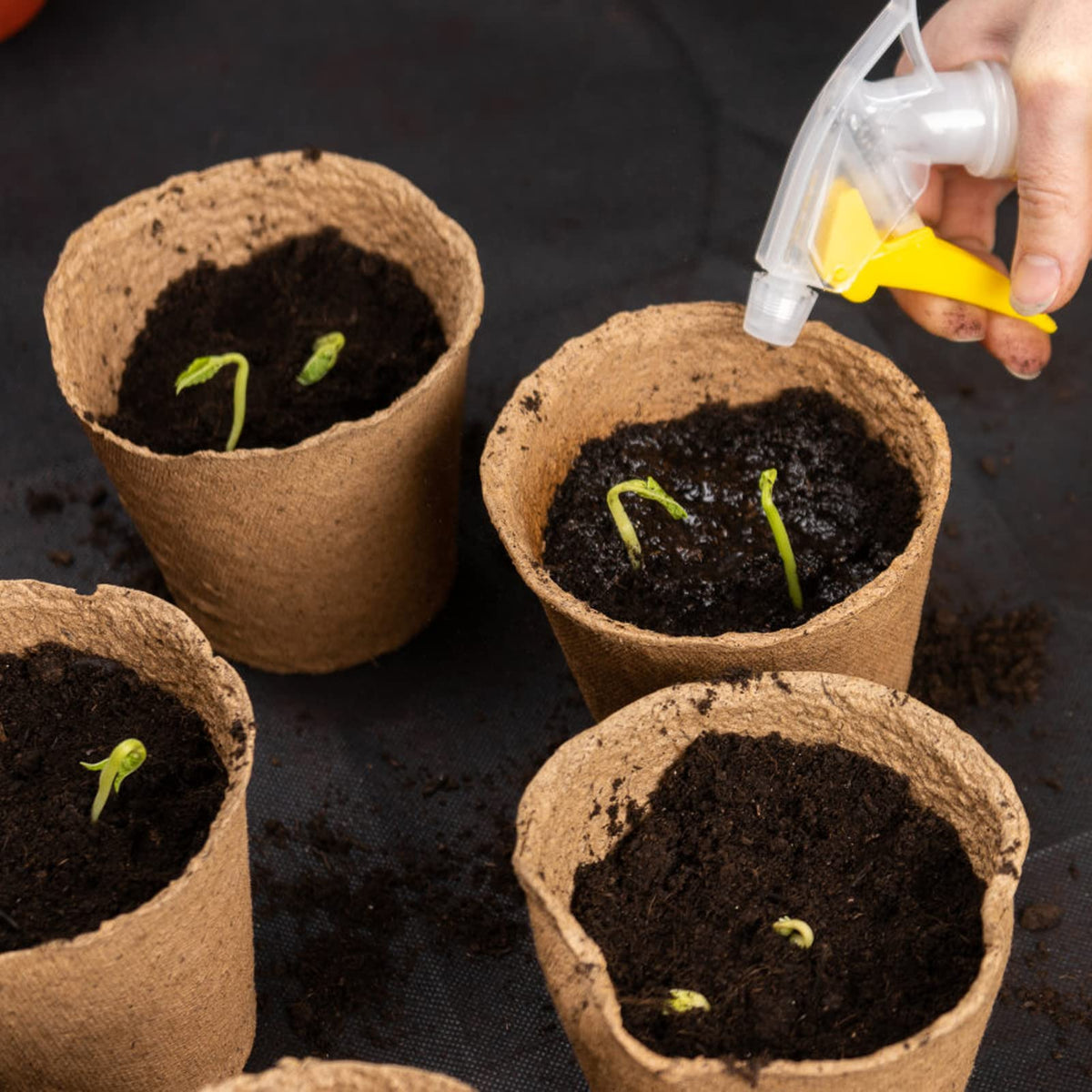 INCIKITI eco-friendly garden starter kit for sustainable growing