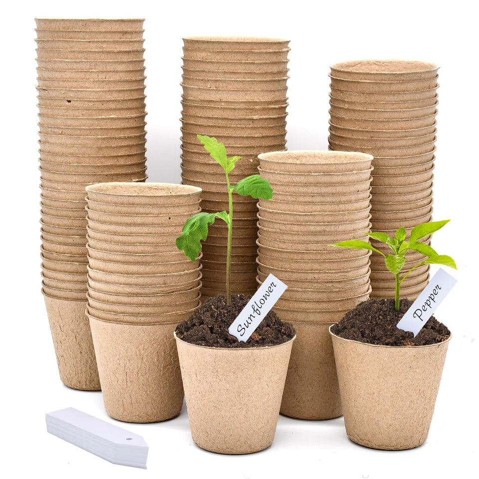 INCIKITI biodegradable peat pot seedling starter setup showing easy transplanting