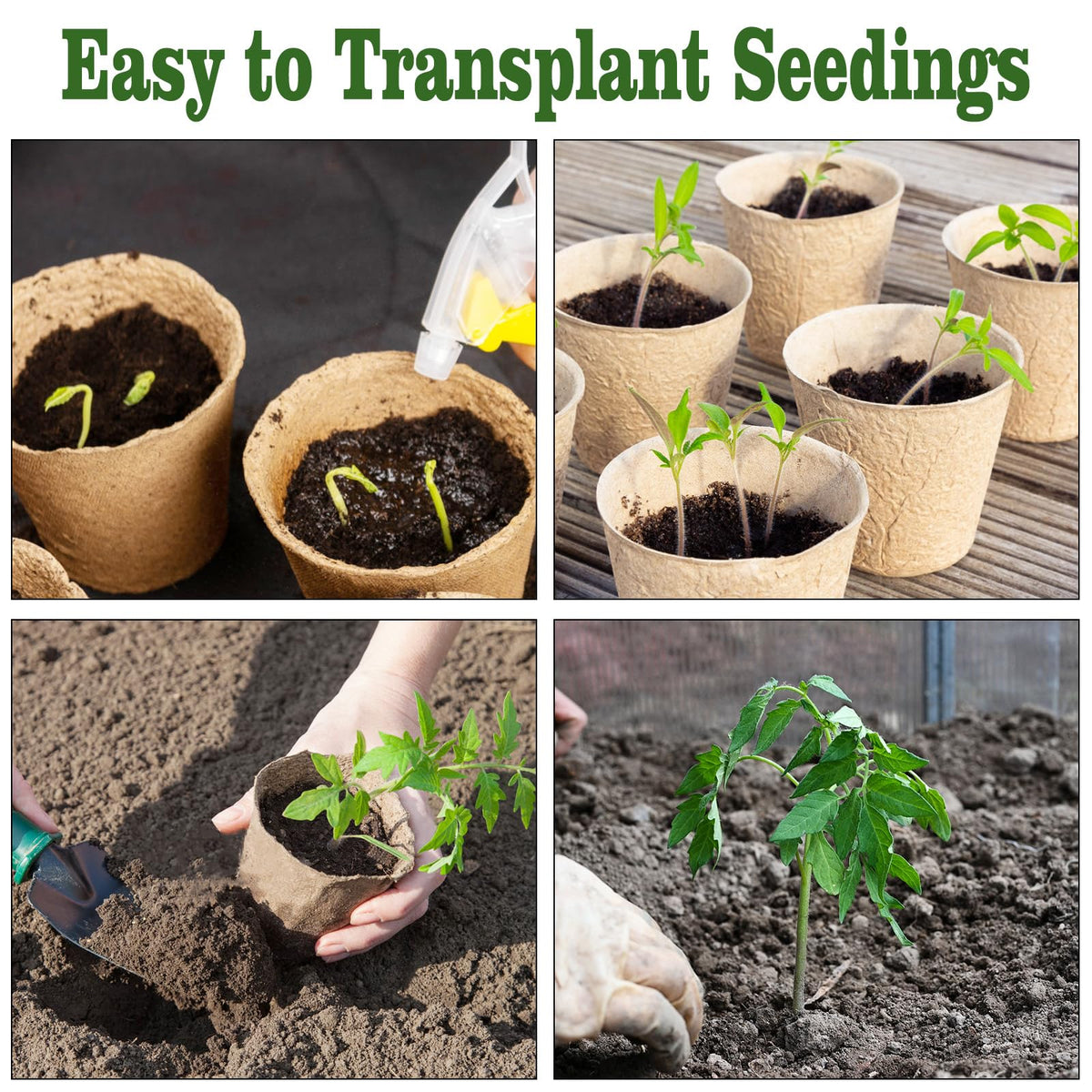 INCIKITI transplant-ready peat pots ready for garden bed