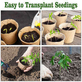 INCIKITI transplant-ready peat pots ready for garden bed
