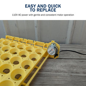 Incubator Warehouse quiet rotation minimizes disturbances during incubation.
