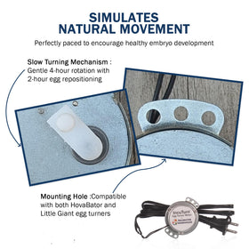 Incubator Warehouse low-power egg turner motor reduces energy use.